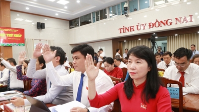Dong Nai approuve le plan d'aménagement urbain de type I, visant à devenir une ville à administration centrale.