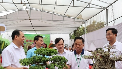 ឃុំហាតមនកំពុងភ្ជាប់ទំនាក់ទំនងជាមួយអ្នកដាំរុក្ខជាតិលម្អដើម្បីអភិវឌ្ឍសេដ្ឋកិច្ច។