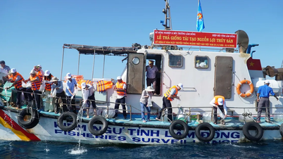 Lam Dong : Plus de 1,4 million d'alevins ont été relâchés pour reconstituer les ressources aquatiques.