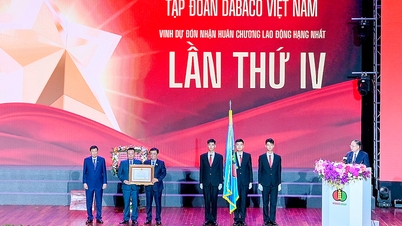O Grupo Dabaco Vietnam celebra seu 30º aniversário.