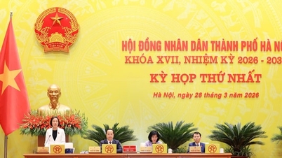 Hanoi approves adjustments to budget allocation quotas.