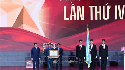 El Grupo Dabaco de Vietnam recibe la Medalla al Trabajo de Primera Clase.