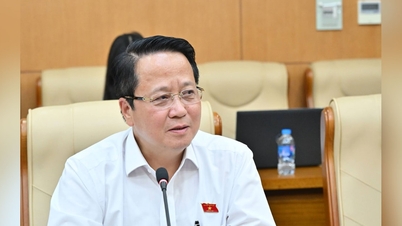 세미나 "새로운 시대의 선출직 공직자를 위한 필수 요소와 역량": 선출직 공직자는 유권자의 의견에 귀 기울이고 실생활과 밀접한 관계를 유지해야 합니다.