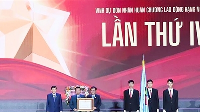 Le vice-président de l'Assemblée nationale, Le Minh Hoan, a assisté à la cérémonie célébrant le 30e anniversaire de la création du groupe Dabaco Vietnam.