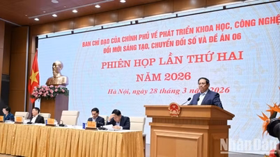 លើកកម្ពស់យ៉ាងខ្លាំង និងទូលំទូលាយនូវការអភិវឌ្ឍសេដ្ឋកិច្ចឌីជីថល សង្គមឌីជីថល ហេដ្ឋារចនាសម្ព័ន្ធឌីជីថល និងការកែទម្រង់នីតិវិធីរដ្ឋបាល។