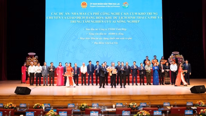 វិញហៀប - ពីគុណសម្បត្តិនៃតំបន់ដែលកំពុងរីកចម្រើន រហូតដល់ការលើកកម្ពស់កាហ្វេ Gia Lai Robusta នៅលើទីផ្សារពិភពលោក។