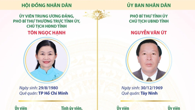 Postes clés au sein du Conseil populaire et du Comité populaire de la province de Dong Nai pour le mandat 2026-2031.