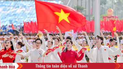 Propuesta para añadir un día libre remunerado con motivo del "Día de la Cultura Vietnamita" (24 de noviembre).