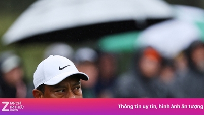 Qu'est-il arrivé à Tiger Woods ?
