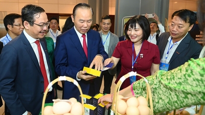 Bygger upp nötköttsvarumärket H'Mông till en specialprodukt, liknande Hanwoo i Sydkorea.