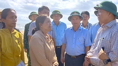 Het partijcomité van de provincie Gia Lai heeft een actieprogramma opgesteld ter uitvoering van resolutie nr. 43-NQ/TW.