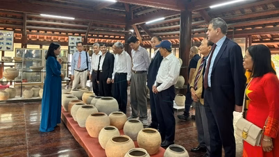 Thanh Hóa: Bảo tồn và phát huy giá trị văn hóa truyền thống tại Bảo tàng gốm Tam Thọ