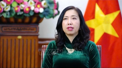 Tham vấn chính trị cấp thứ trưởng ngoại giao Việt Nam-Ireland