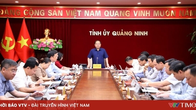 Quang Ninh erőfeszítéseit a kulcsfontosságú feladatokra összpontosítja.