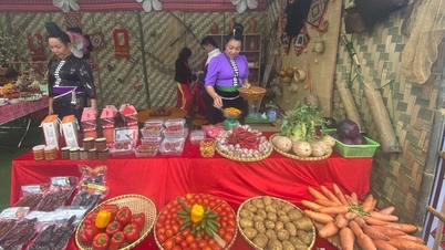 Provinsi Son La menargetkan peningkatan produksi pertanian, kehutanan, dan perikanan pada kuartal pertama tahun 2026.