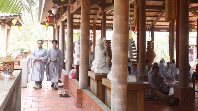 វត្តដូងដ៏ពិសេសមួយនៅភូកមីទ្រុង