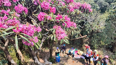 Impressions de la 1ère compétition d'alpinisme « À la conquête du pic Pu Ta Leng – La grande forêt de rhododendrons » dans la commune de Muong Hum