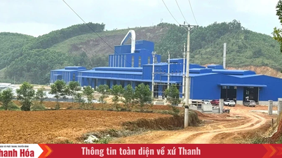 លោក Luận Thành បានបញ្ជាក់ឲ្យឃើញនូវដំណោះស្រាយនេះជាមួយនឹងផែនការសកម្មភាពមួយ។