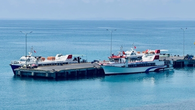 Ben Dinh Port welcomes both domestic and international ships.