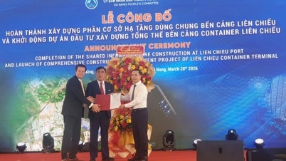The Lien Chieu Container Port Project consortium is committed to implementing the project on schedule.