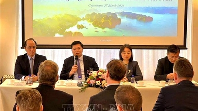 Promouvoir la coopération en matière d'investissement entre le Vietnam et le Danemark