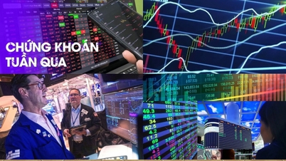 Aktiemarknaden förra veckan: VN-Index vänder kursen positivt, experter rekommenderar försiktiga investeringar.