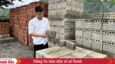 Des jeunes de l'ethnie Muong créent avec succès une entreprise utilisant un modèle de briques non cuites.