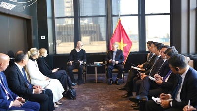 A delegation from Da Nang city is promoting investment in the United States.