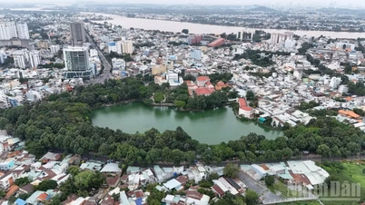 ドンナイ市設立に関する提案書を、2026年4月4日までに政府に提出してください。