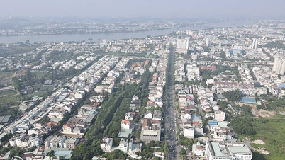Submit the proposal for establishing Dong Nai city as a centrally-governed city to the Government before April 4th.