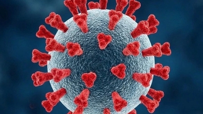 Face à l'émergence d'un variant du SARS-CoV-2 montrant des signes d'échappement immunitaire, le ministère de la Santé lance un avertissement.