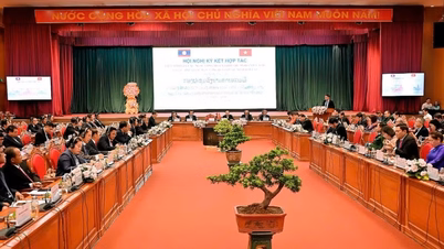 Gia Lai refuerza la cooperación con cuatro provincias del sur de Laos.