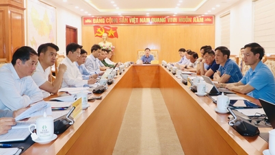 Ordförande för provinsens folkkommitté Ha Quang Trung: Planeringen för de fyra kommunerna Binh Lu, Ban Bo, Khun Ha och Ta Leng måste bli en drivkraft för grön och hållbar utveckling.