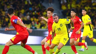 La selección nacional de Malasia llevó a Vietnam a 13 jugadores de origen extranjero.