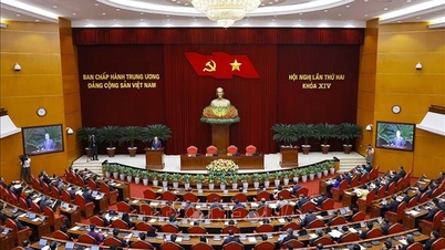 Sorotan minggu lalu: Sesi pleno kedua Komite Sentral ke-14 Partai Komunis Vietnam memutuskan banyak isu strategis.