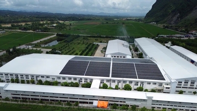 Nghe An : La demande en énergie solaire augmente fortement.