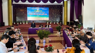 ការអភិវឌ្ឍតំបន់ឆ្នេរសមុទ្រភាគខាងកើតនៃខេត្តដាក់ឡាក់ ឲ្យក្លាយជាមជ្ឈមណ្ឌលទេសចរណ៍ជាតិ។