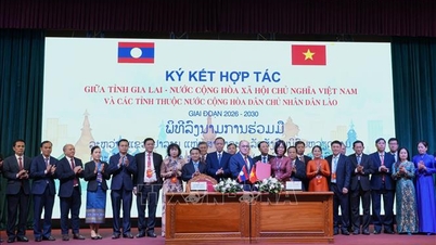 Signature d'un accord de coopération entre la province de Gia Lai et quatre provinces du sud du Laos.