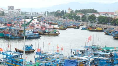 Die Provinz Lam Dong bekämpft entschlossen die IUU-Fischerei (illegale, nicht gemeldete und unregulierte Fischerei) mit dem Ziel einer nachhaltigen Fischerei.
