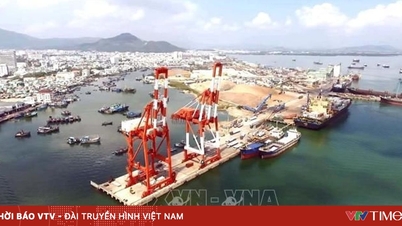 Taxe reduse pentru serviciile de pilotaj pentru navele sub pavilion vietnamez.