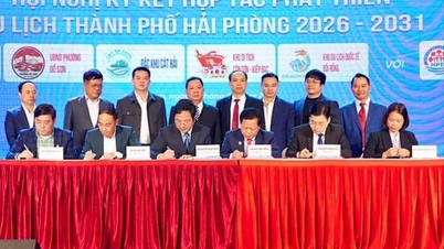The Hai Phong Tourism Association joins forces to expand the space and elevate the destination.