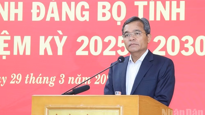The Quang Ngai Provincial Party Committee has adopted four important thematic resolutions with strategic significance.