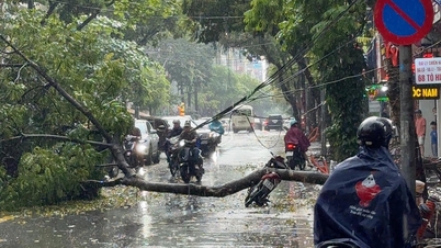 Trær ble revet opp med roten i regnet og falt over motorsyklister i Hanoi.