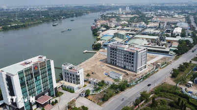 Ajukan proposal pembentukan kota Dong Nai sebagai kota yang dikelola secara terpusat kepada Pemerintah sebelum tanggal 4 April.