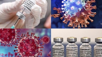 The Ministry of Health has commented on the new SARS-CoV-2 variant that the WHO has added to its monitoring list.