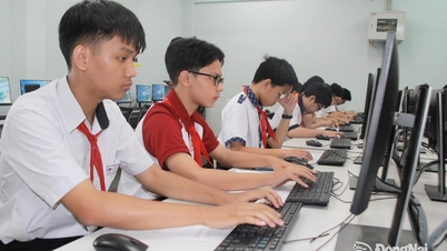 Hampir 400 peserta telah menyertai Pertandingan Informatik Belia Wilayah Dong Nai ke-30.
