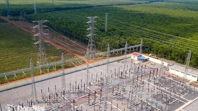 La compañía eléctrica Dong Nai Power Company logró poner en funcionamiento con éxito la línea eléctrica clave de 110 kV en la parte oriental de la provincia.