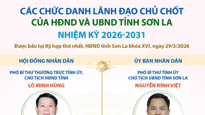 មុខតំណែង​ថ្នាក់ដឹកនាំ​សំខាន់ៗ​របស់​ក្រុមប្រឹក្សា​ប្រជាជន និង​គណៈកម្មាធិការ​ប្រជាជន​ខេត្ត​សុនឡា សម្រាប់​អាណត្តិ​ឆ្នាំ ២០២៦-២០៣១។