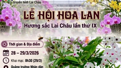9ο Φεστιβάλ Ορχιδέας Lai Chau – Άρωμα και Ομορφιά