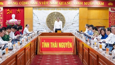 Le Comité provincial du Parti de Thai Nguyen organise d'importantes conférences.
